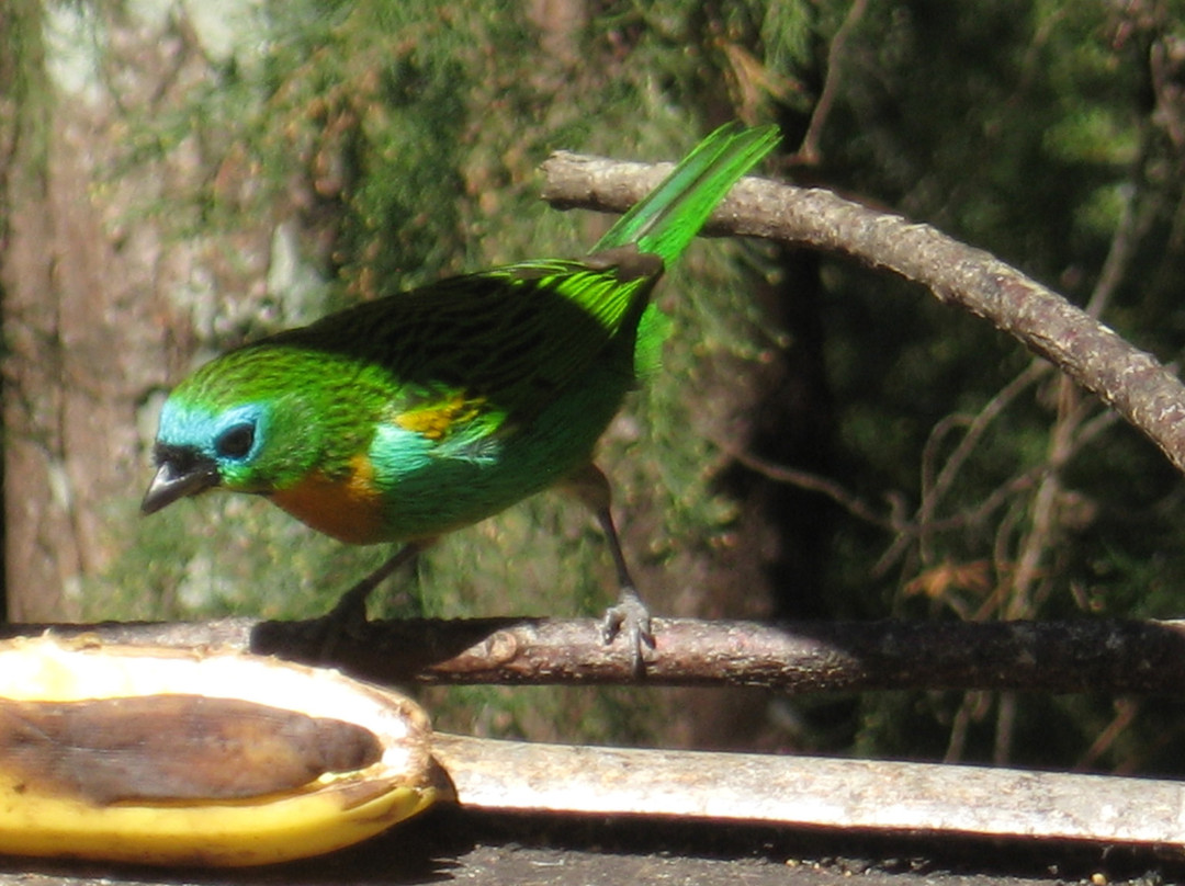 Pousada Paraiso主图