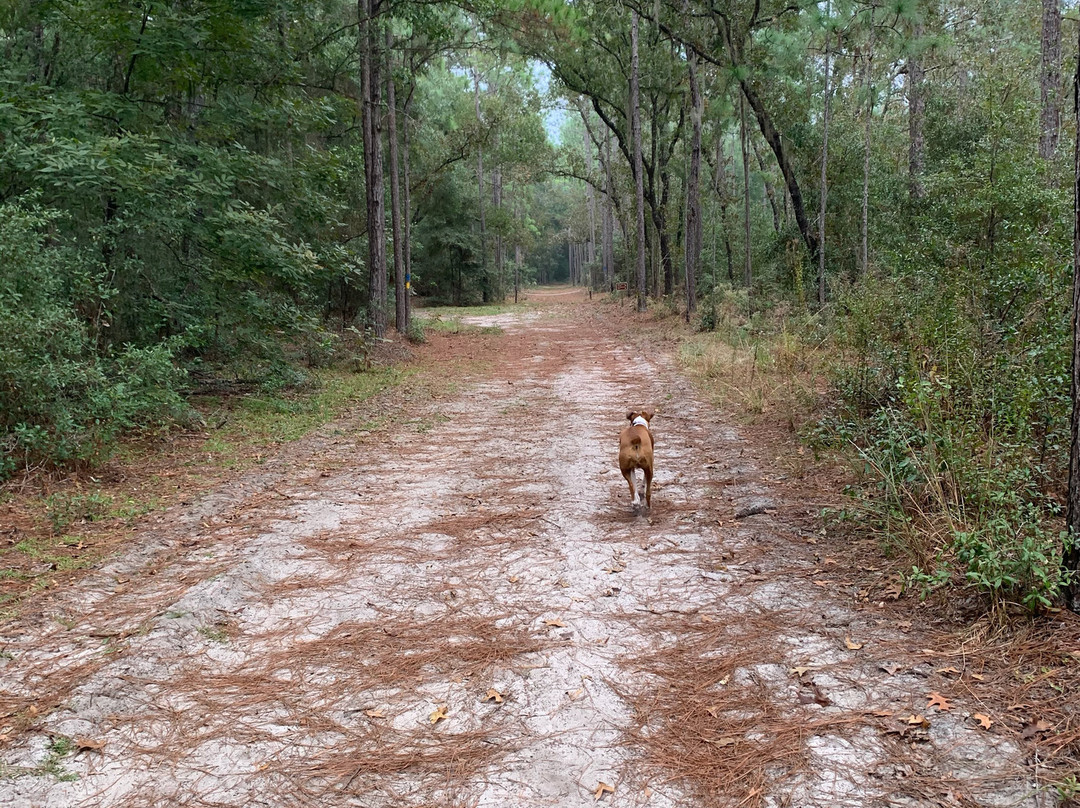 Deseret Ranch-圣克劳德必去景点