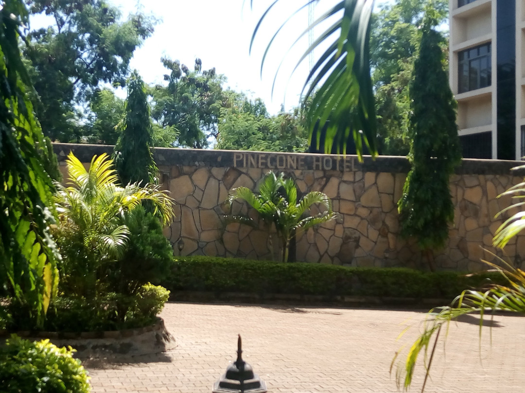 Pinecone Hotel主图