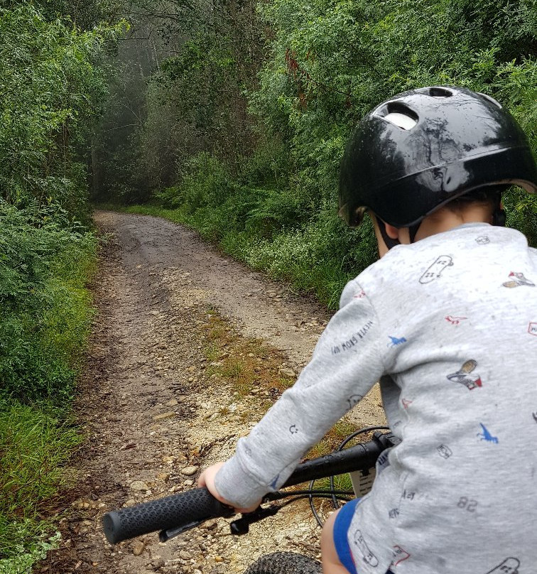 Harkerville Mountain Bike Trails-哈克城必去景点