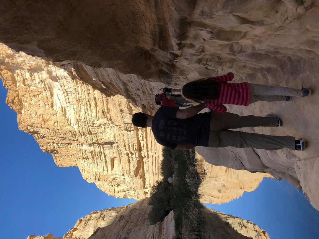 Dani Eco Tours-Haifa必去景点