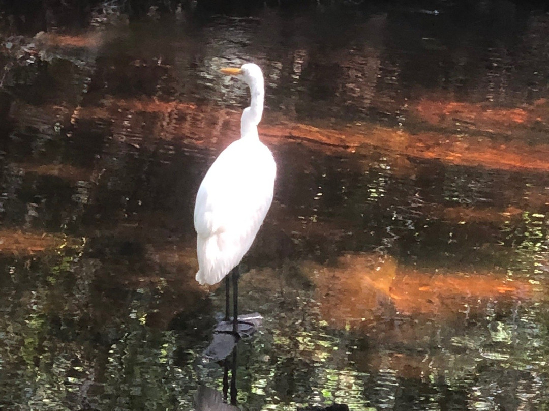 Parque Ecoturistico Jaltun-塞莱斯顿必去景点
