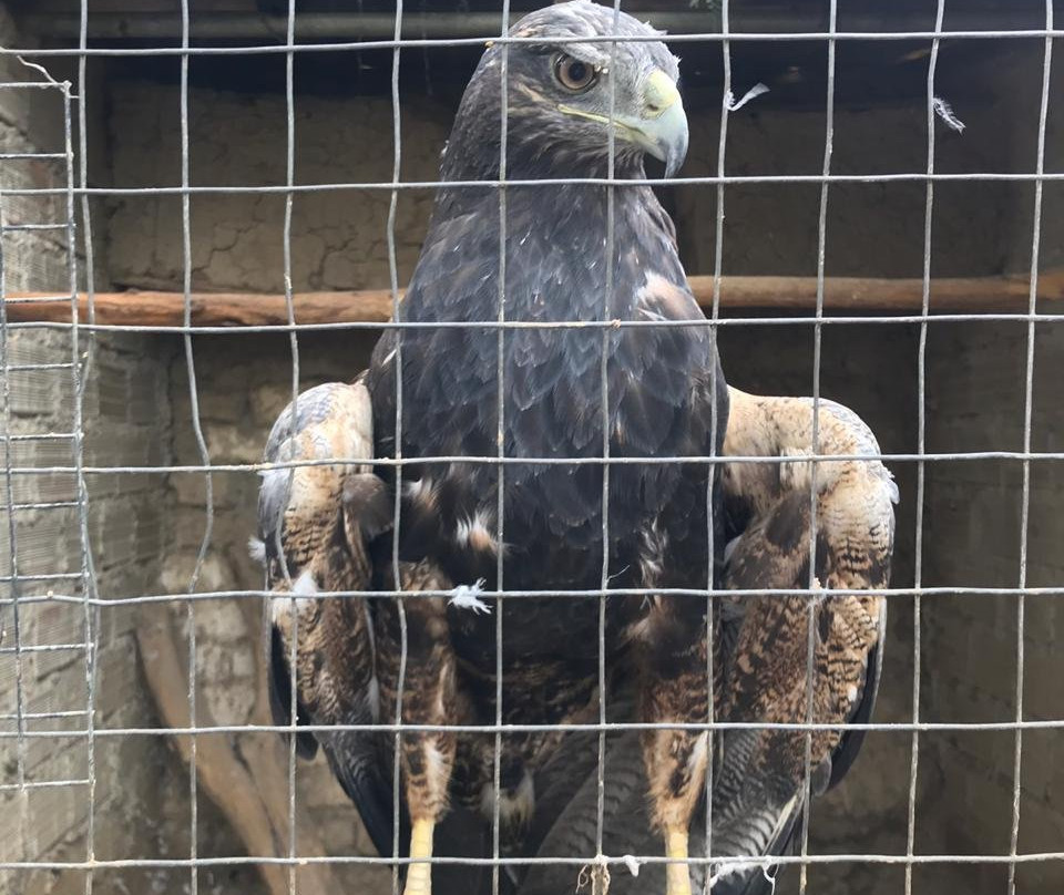 Parque de las Aves Agroflori-科恰班巴必去景点