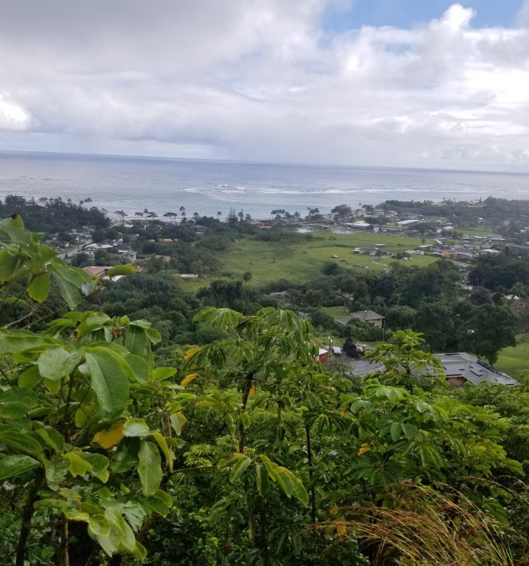 Maʻakua Ridge Trail-哈乌乌拉必去景点