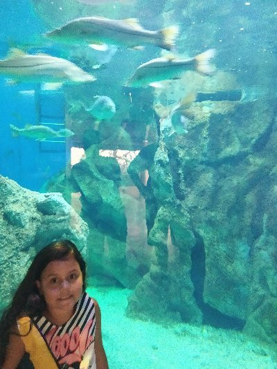 Aquario Marinho-巴拉那瓜必去景点