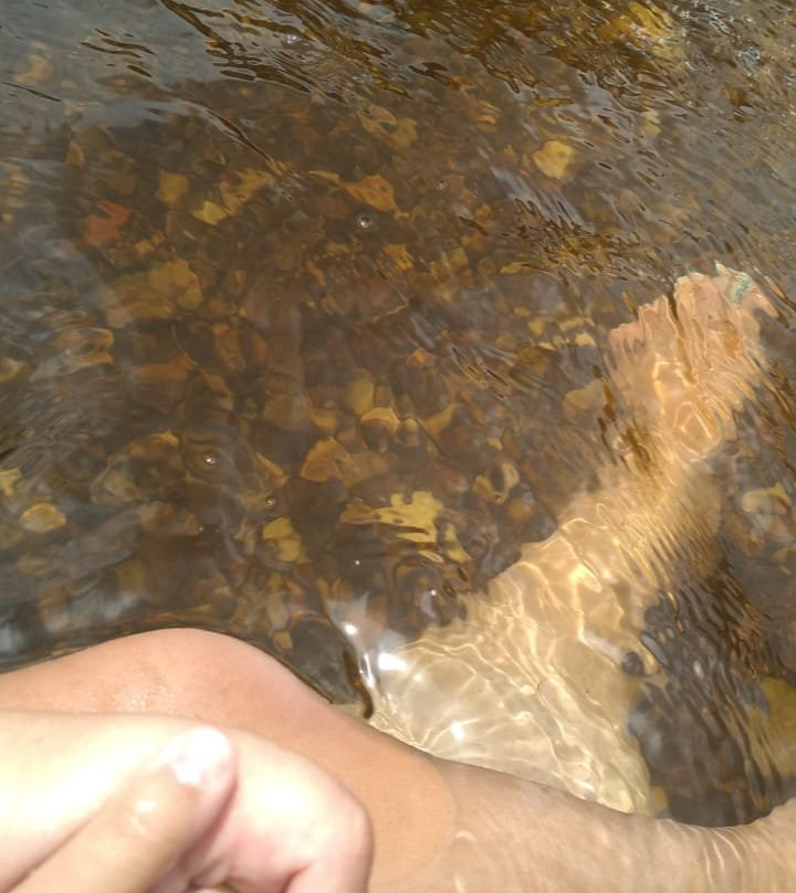 Cachoeira do Mangue景点图片