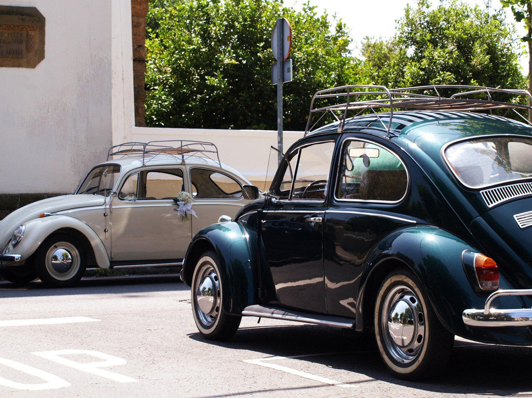 Bilbao Retro Tours-毕尔巴鄂必去景点