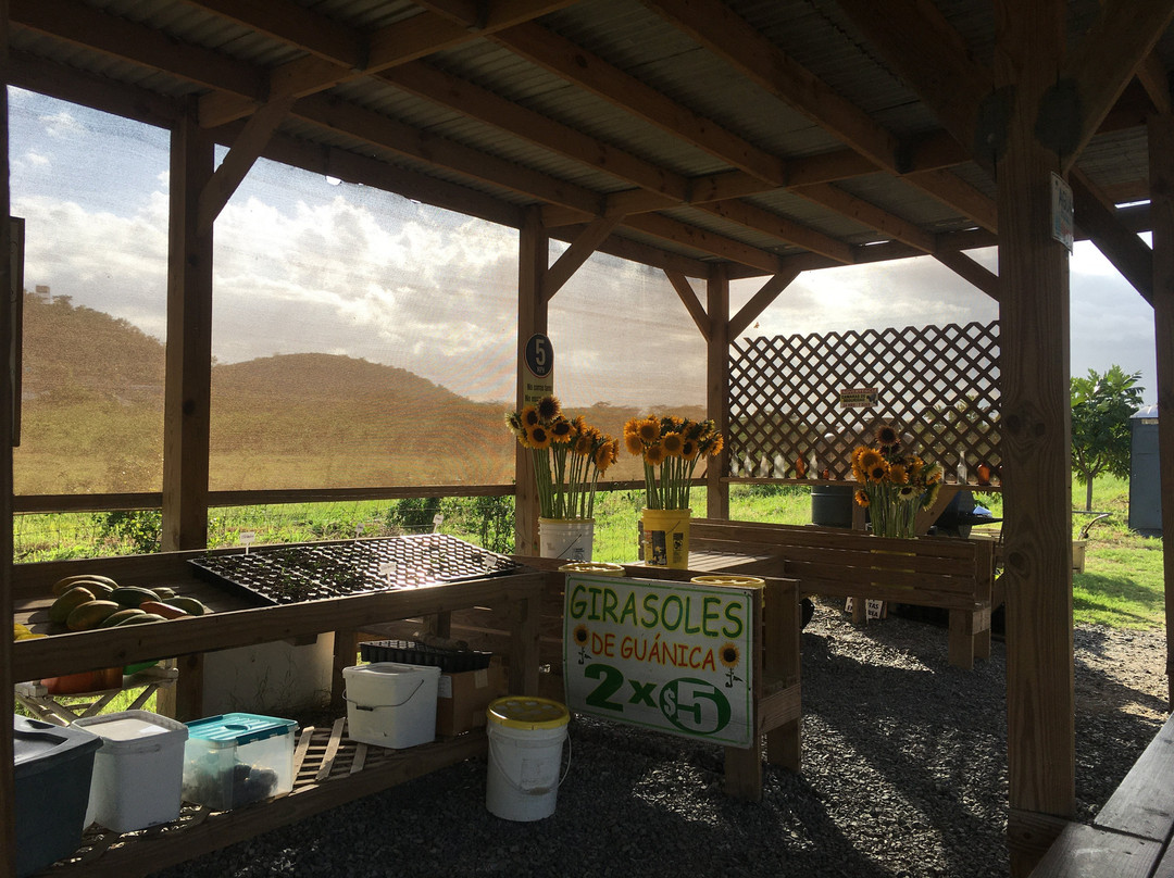 Finca El Girasol-Guanica必去景点
