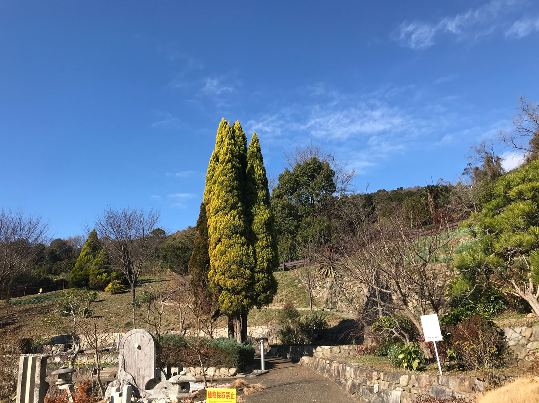 Tokushima Zoo-德岛市必去景点