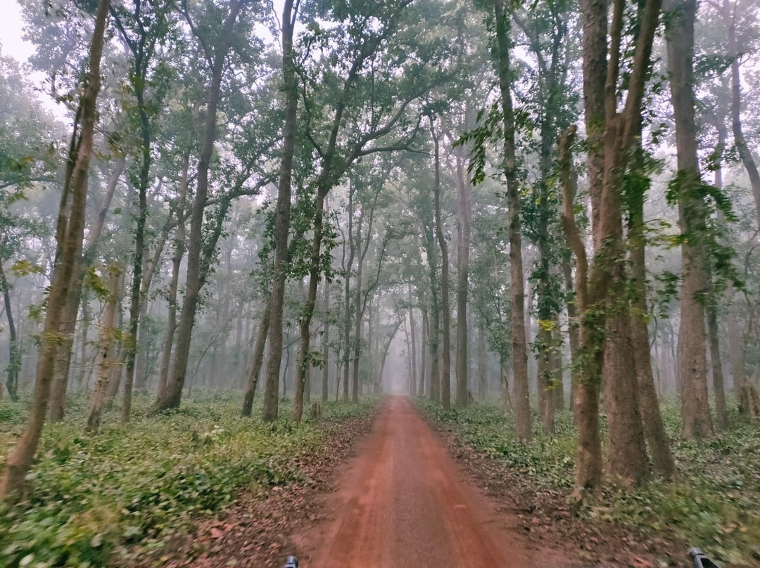 Dudhwa National Park景点图片