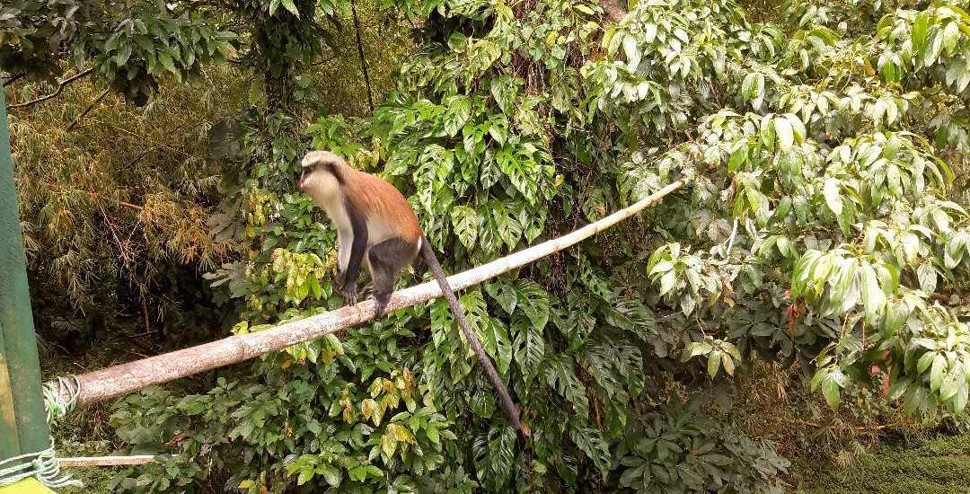 Zeyah Tours & Services-Morne Rouge必去景点