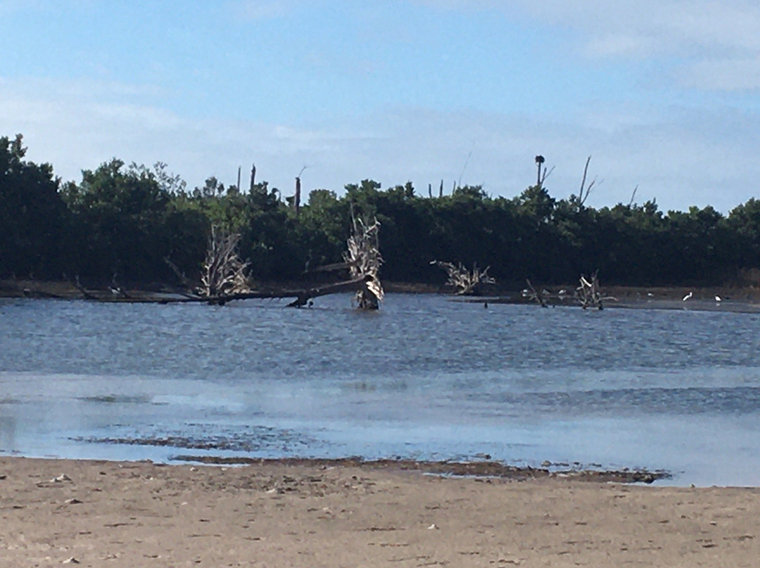 Anclote Key Preserve State Park景点图片