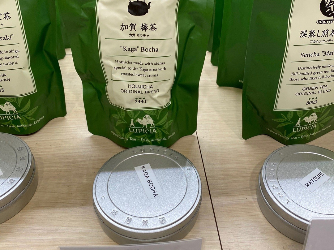 绿碧茶园景点图片