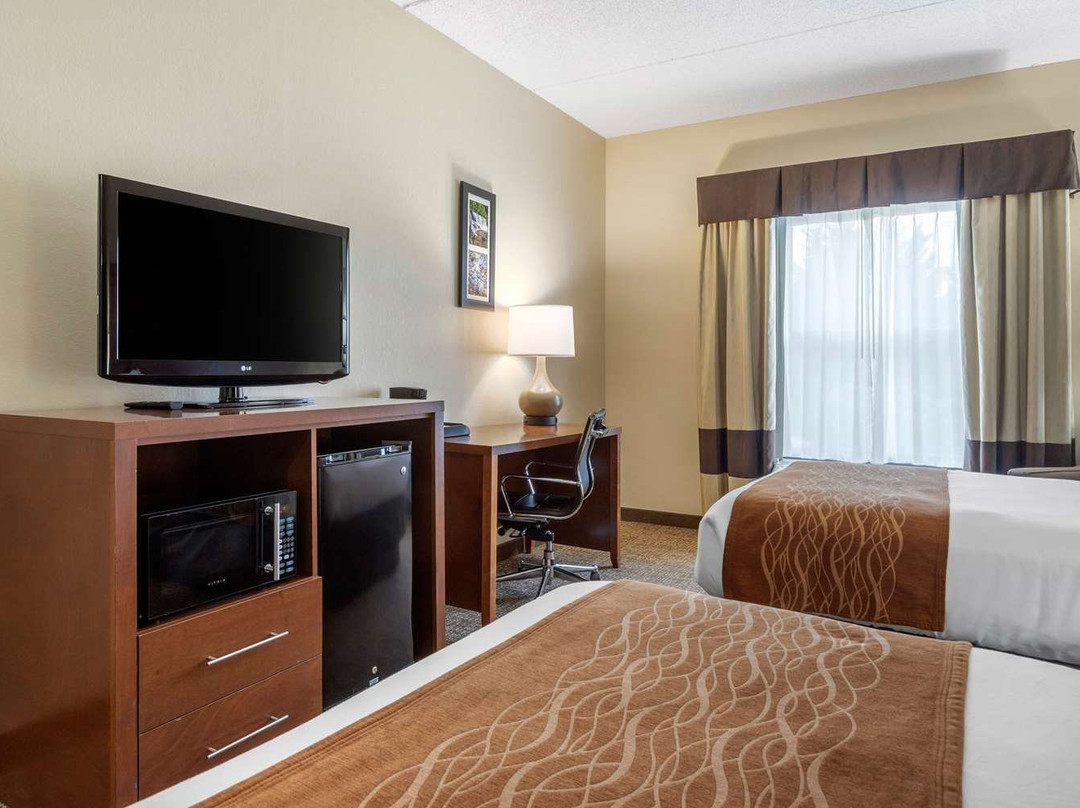 Comfort Inn Asheville Airport主图