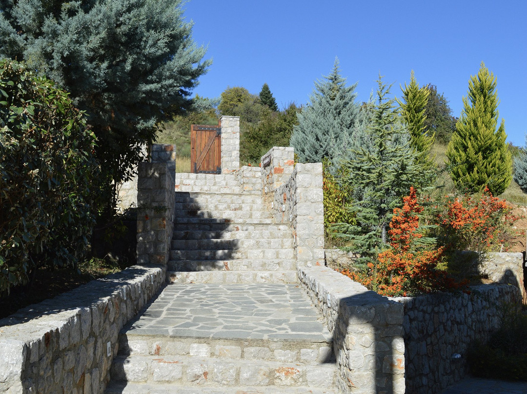 Guesthouse Diochri主图