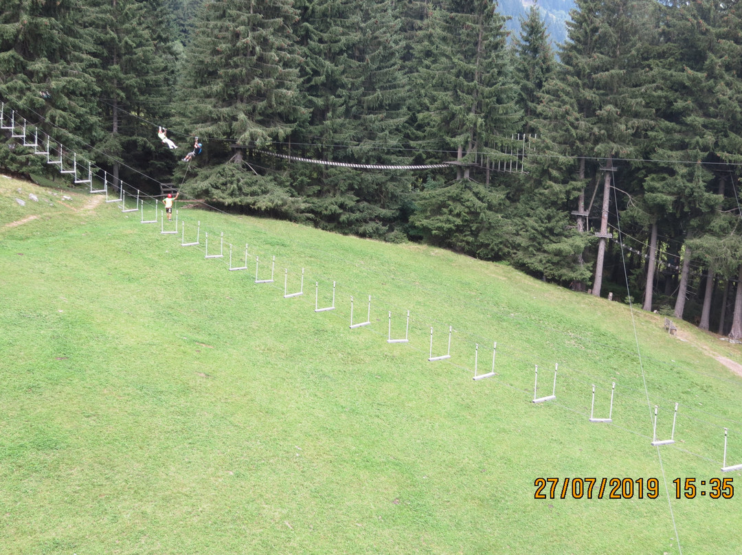 Baumzipfelweg景点图片