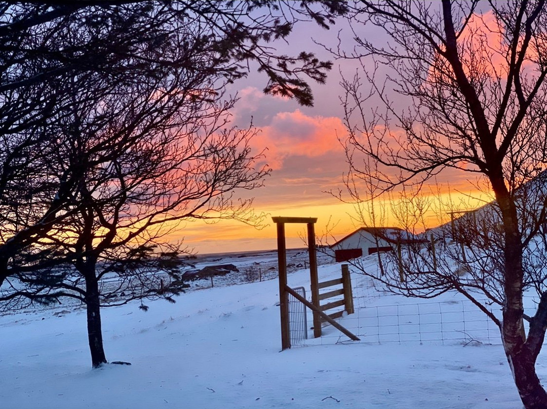 思佳拉菲尔宾馆主图