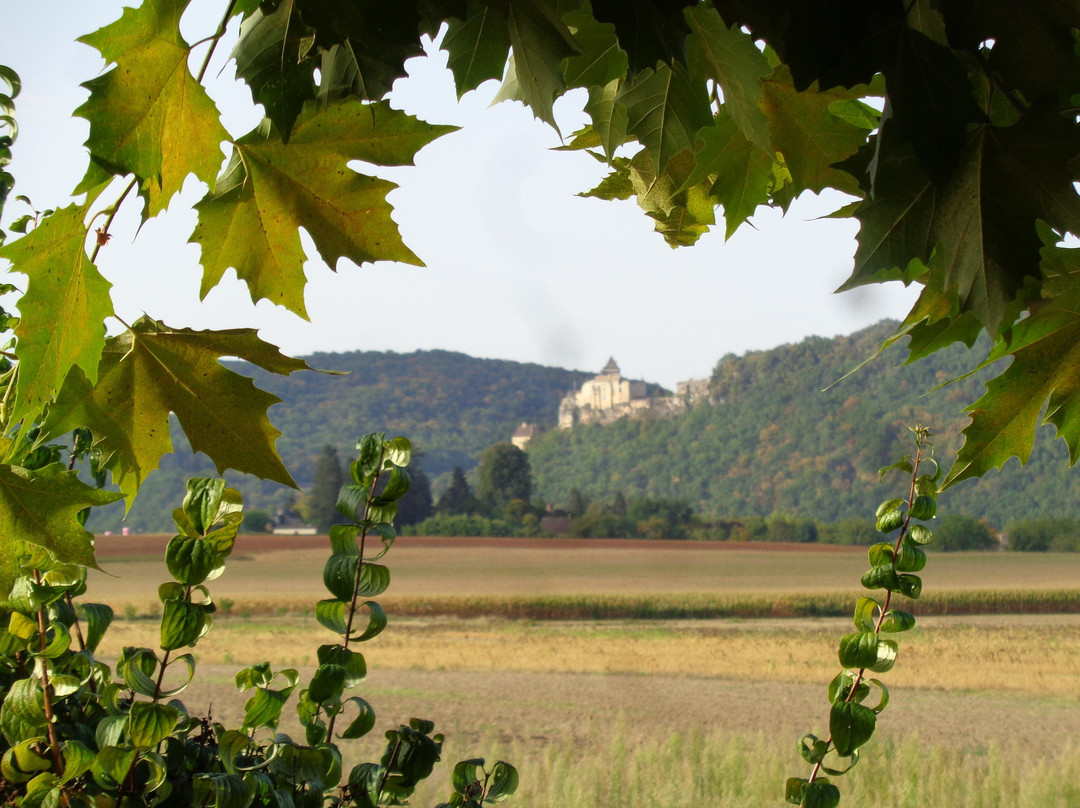 Le Relais Des 5 Chateaux主图