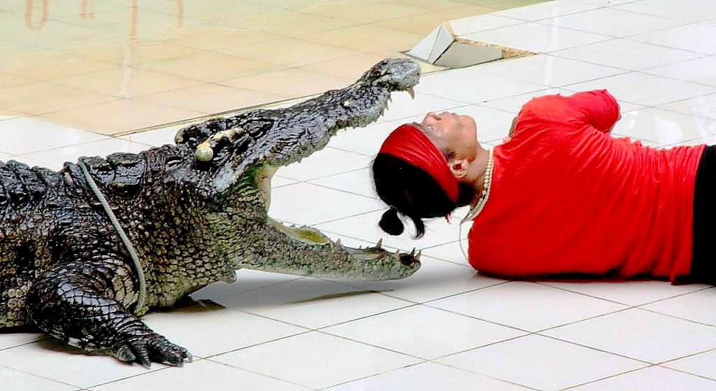 Phuket Crocodile World景点图片