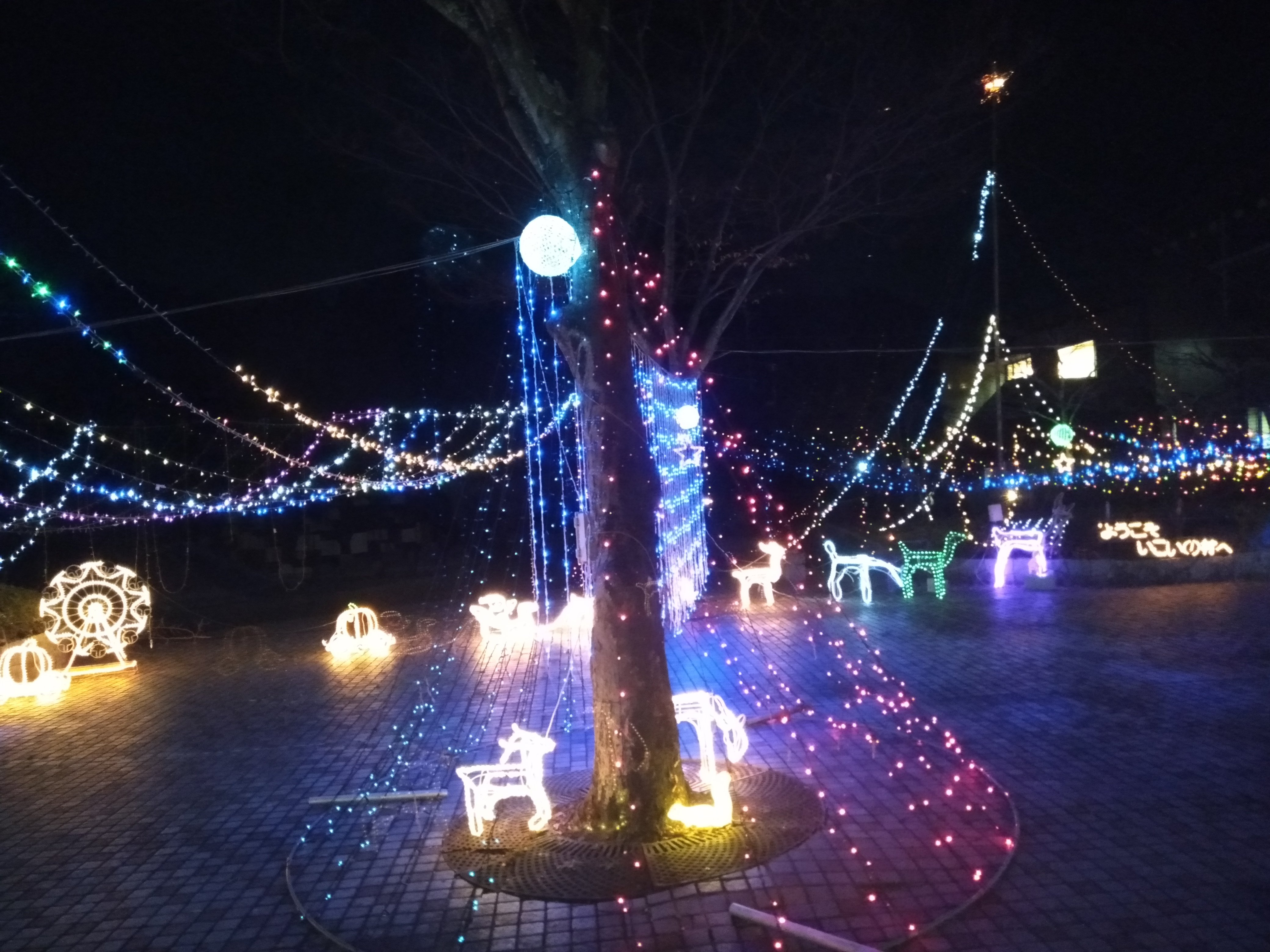 Ikoinomura Ashigara-官方