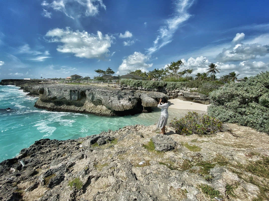 Shark Hole-巴巴多斯必去景点
