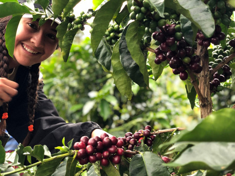 Jaguar Coffee - Tours & Travel Agency-波哥大必去景点