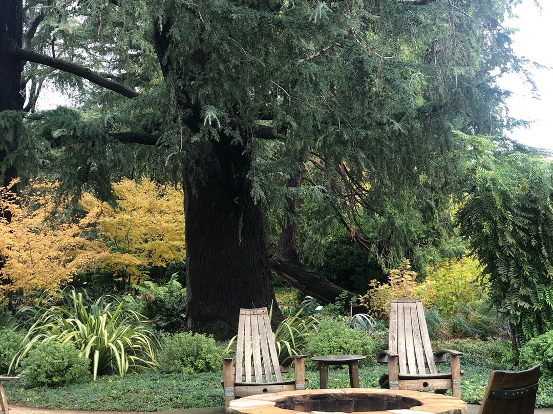 Harney Lane Winery-洛迪必去景点