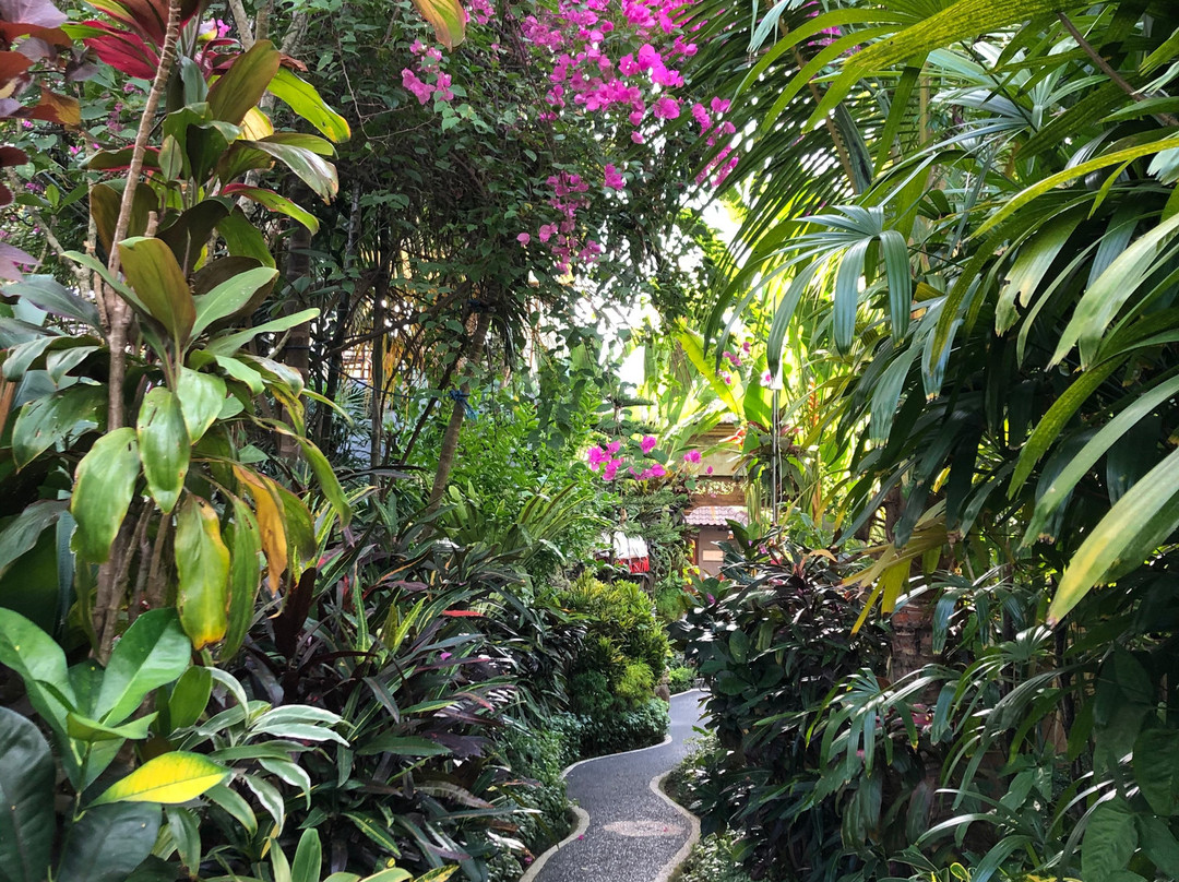 Bali Dream Resort & Spa, Ubud主图