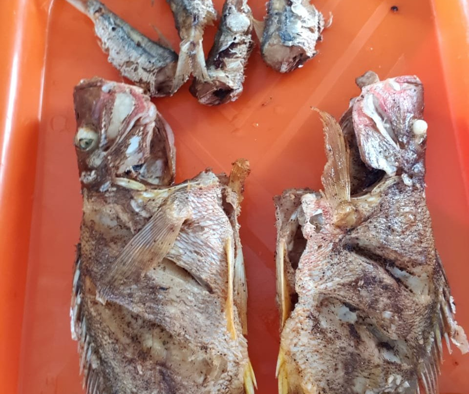 Posada Old Town Bay主图