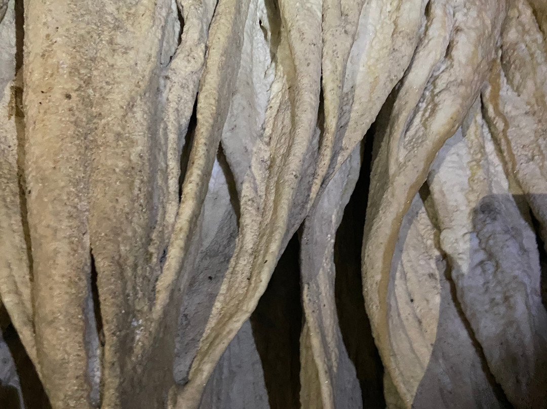 Limestone Cave Baratang-Baratang Island必去景点