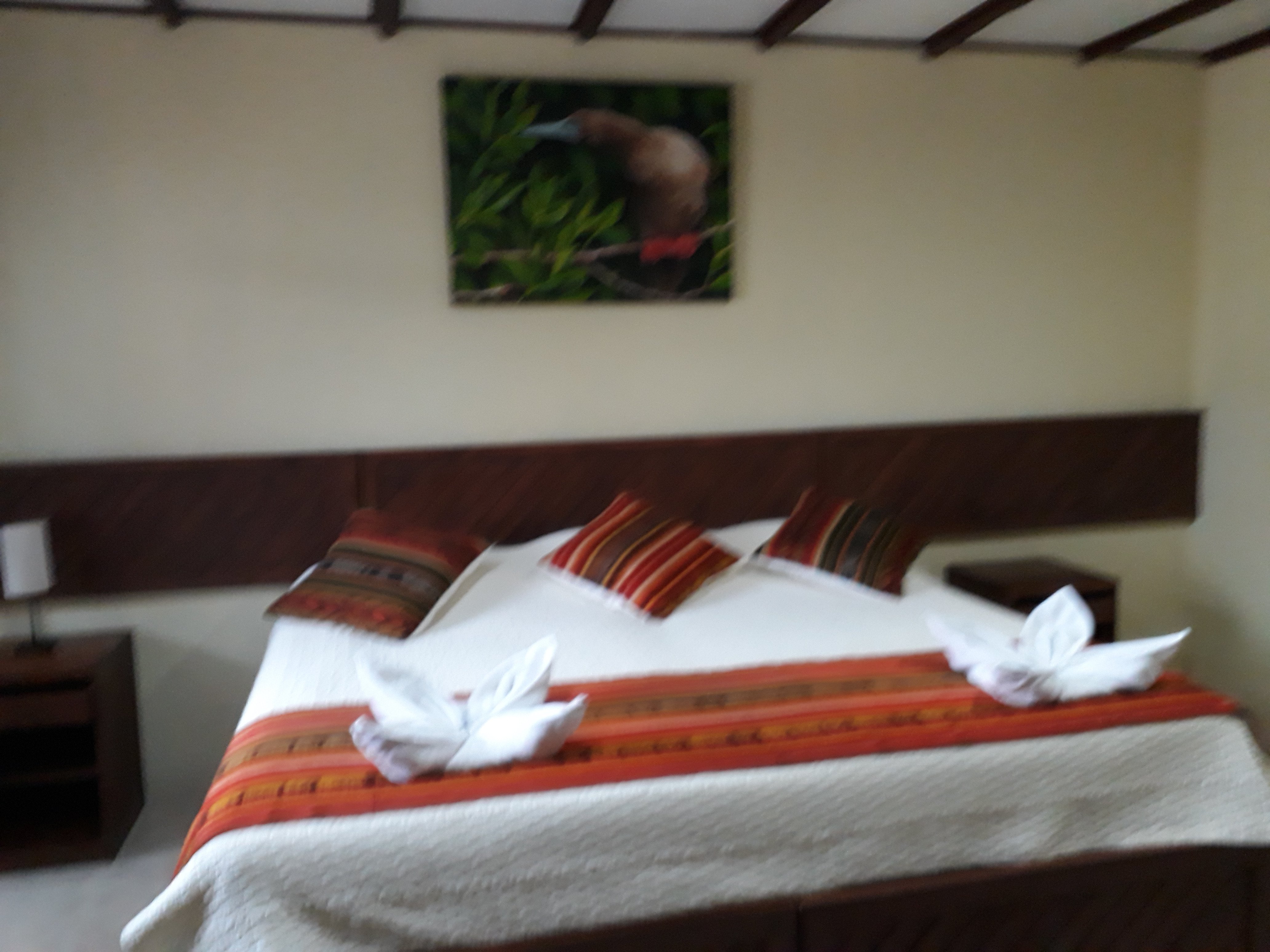 The Eco Hotel Arena Blanca-官方