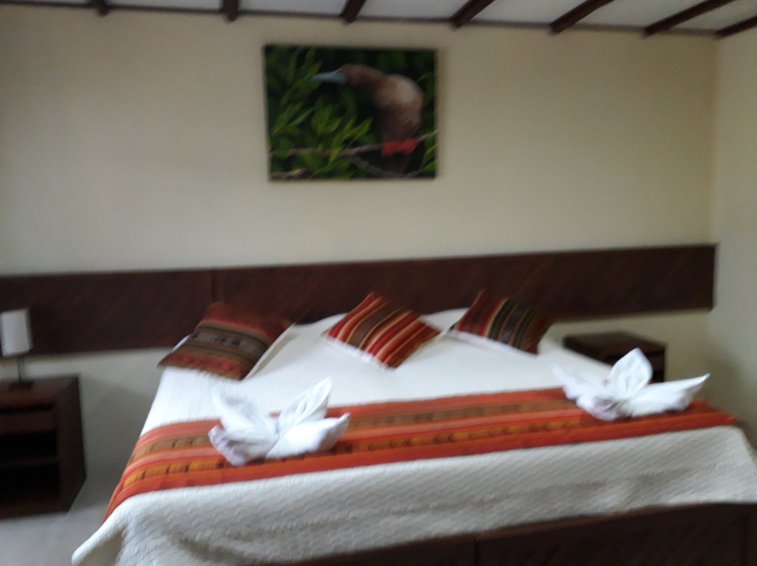 The Eco Hotel Arena Blanca主图