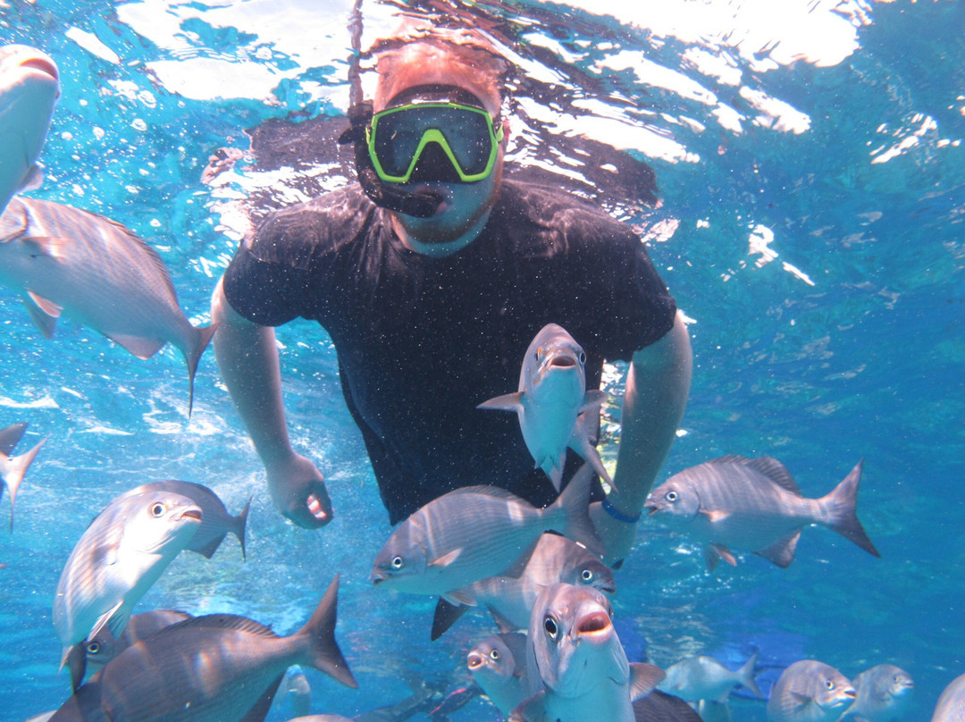 Chac Choc Tours-考祖梅必去景点