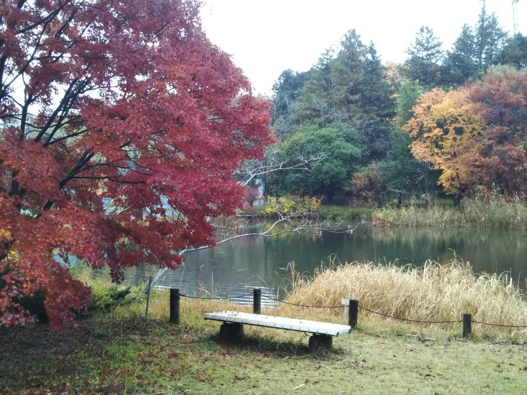 Tsukuba Botanical Garden景点图片
