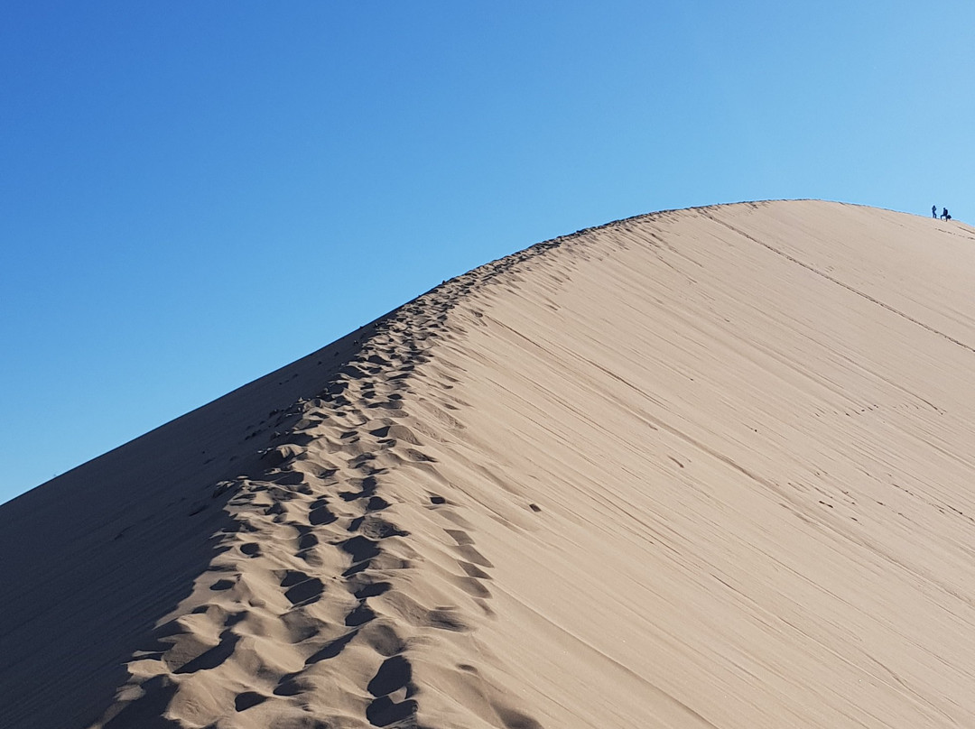 Altyn-Emel National Park-阿克托贝必去景点
