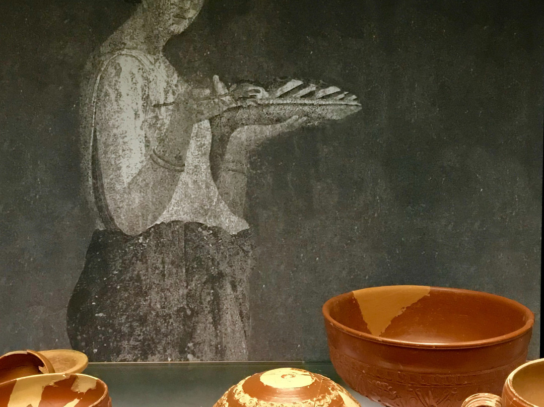 Museo E Area Archeologica Di Altino景点图片