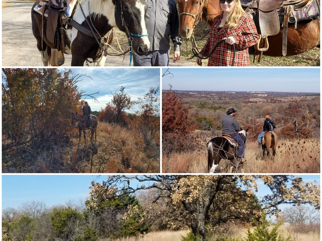 Arbuckle Trail Rides-Sulphur必去景点