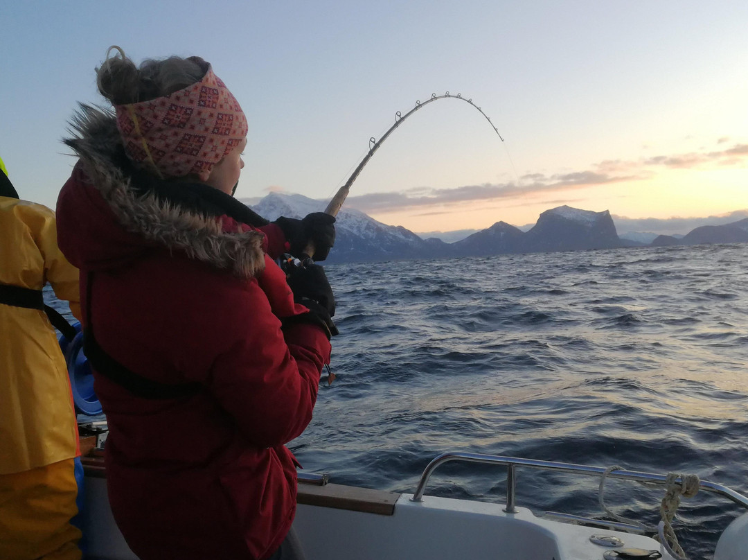 Arctic Spearfishing & guided fishing景点图片