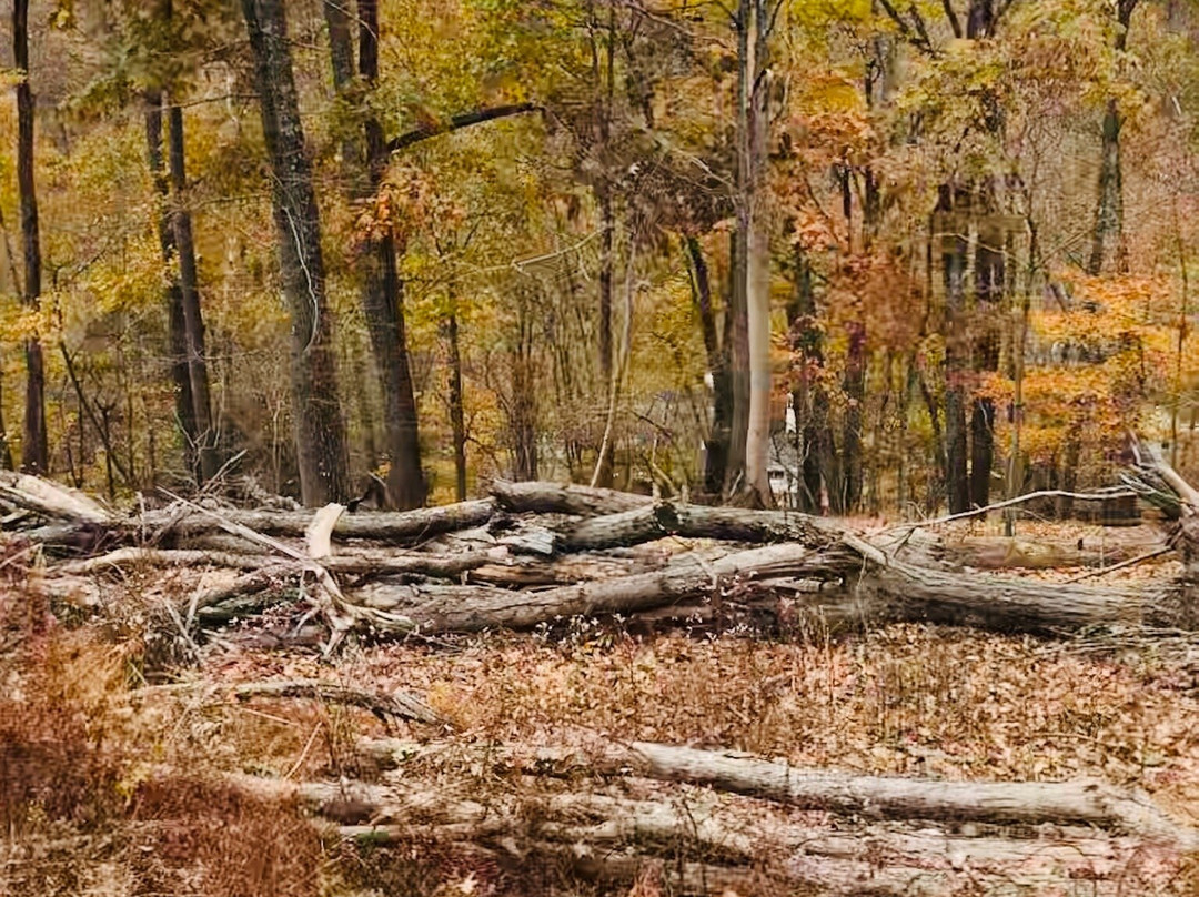 Elk Mountain Trails景点图片