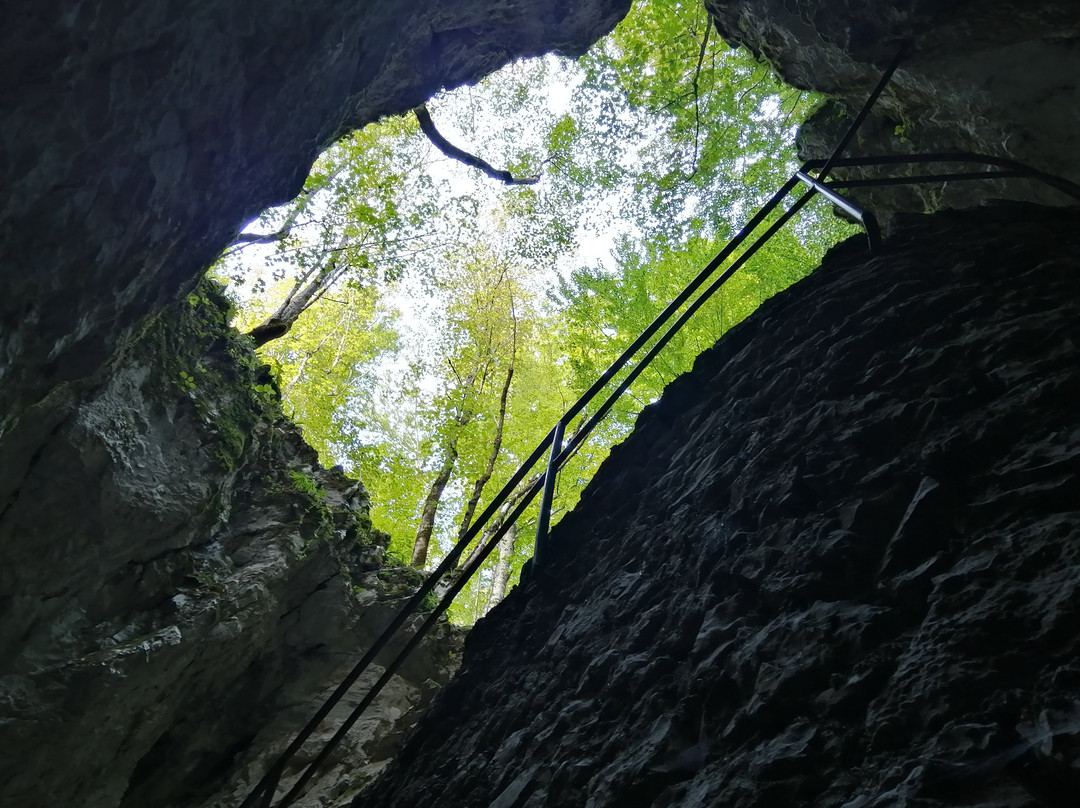 Šupljara cave景点图片