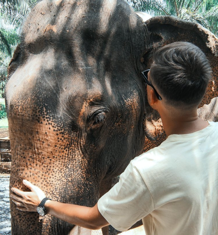 Sonchana Farm and Elephant Sanctuary-素叻他尼必去景点