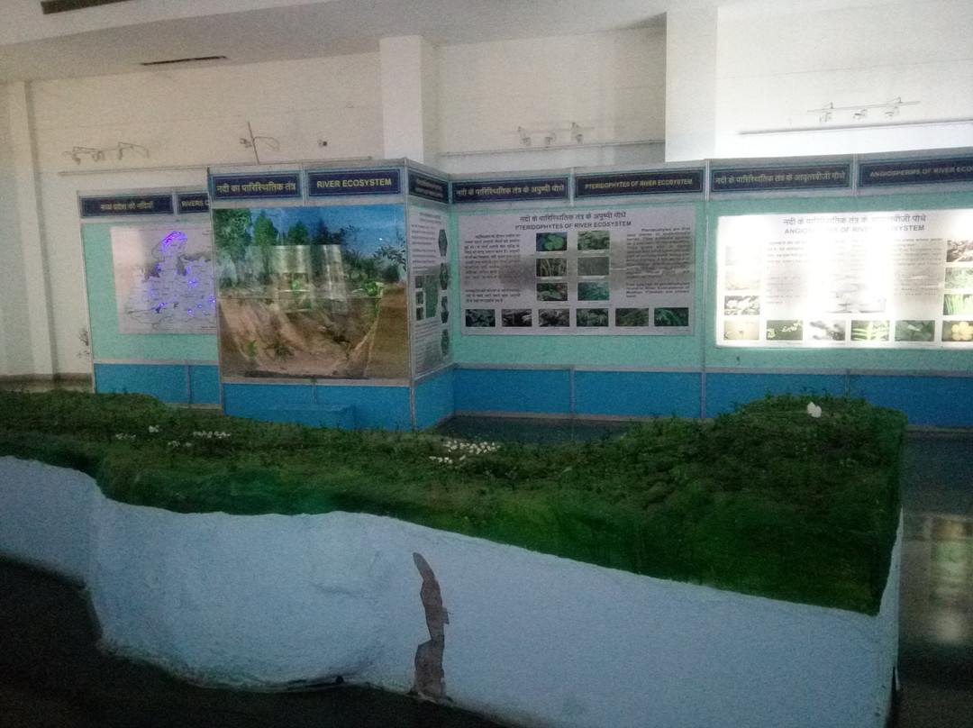 Regional Museum of Natural History景点图片