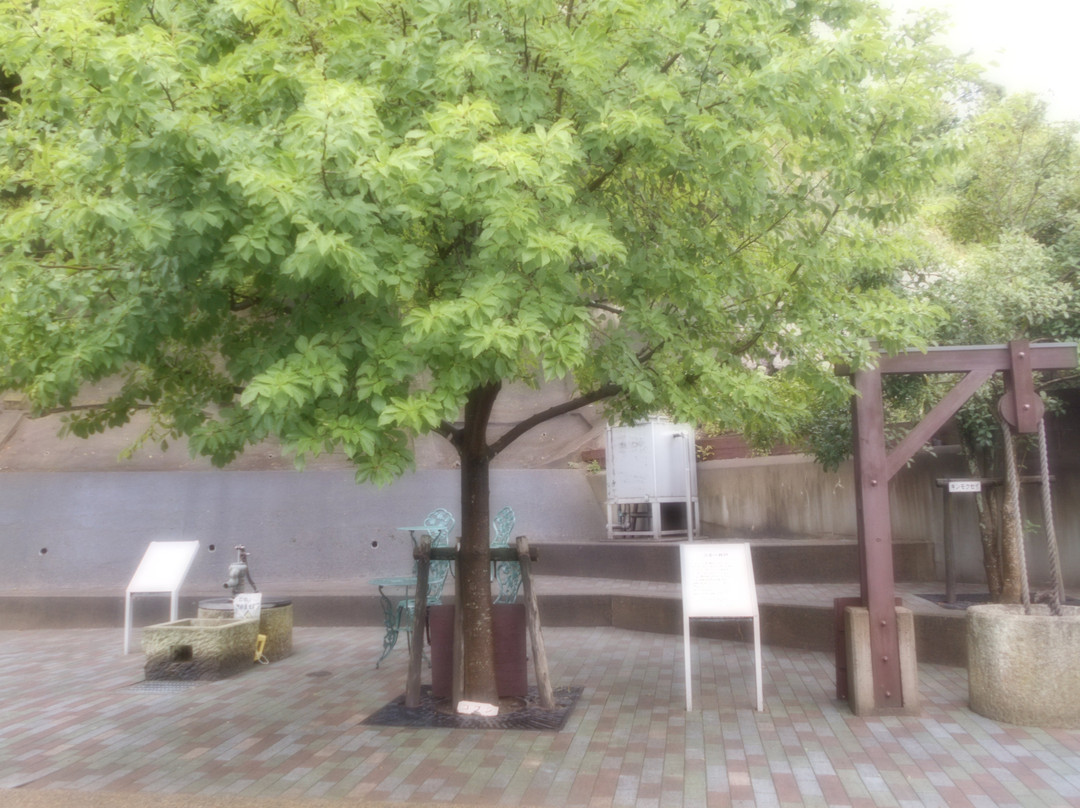 Waterworks Memorial Museum-福井市必去景点