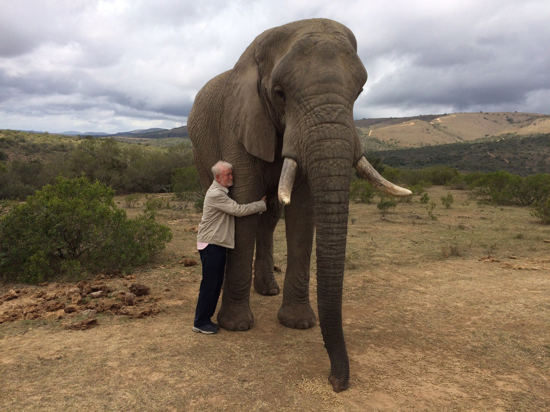 Barefoot Addo Elephant Lodge-Addo Elephant National Park必去景点