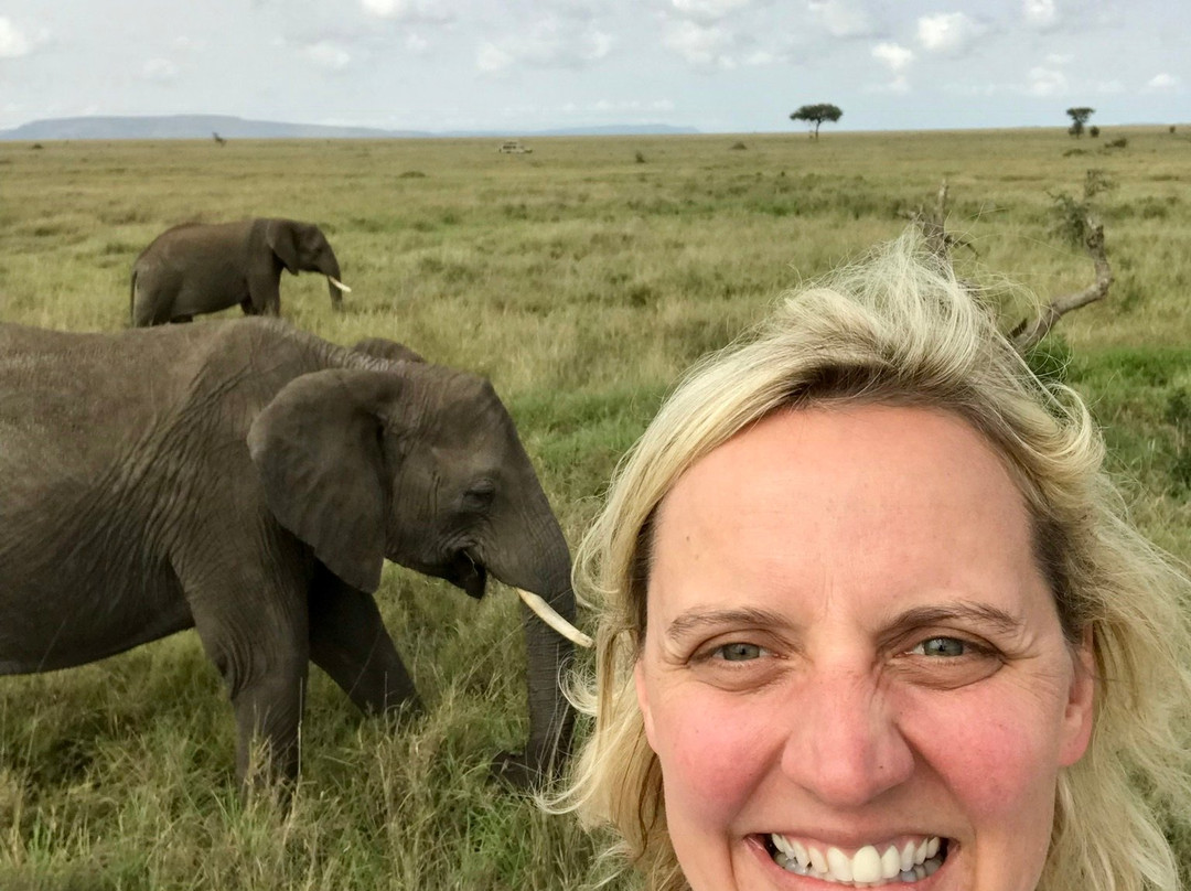 Serengeti Pride-阿鲁沙必去景点