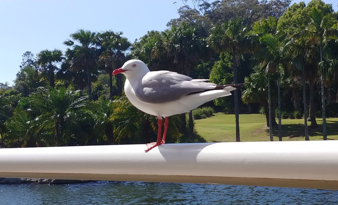 Pacific Palms Resort主图