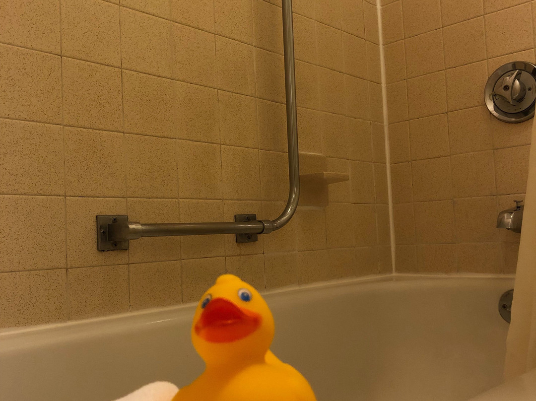 Best Western Plus Wilkes Barre Center City主图