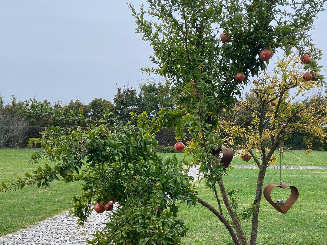Relais Agriturismo Ormesani主图