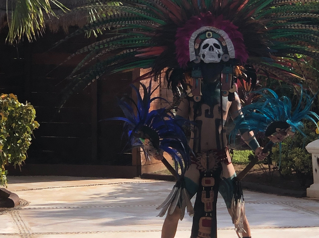 坎昆海滨卓越酒店-全包-仅限成人主图