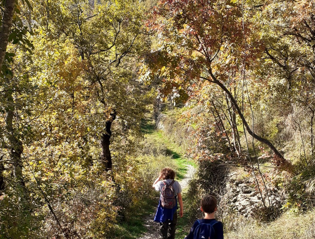 La Valle del Carlone e le sue cascate景点图片